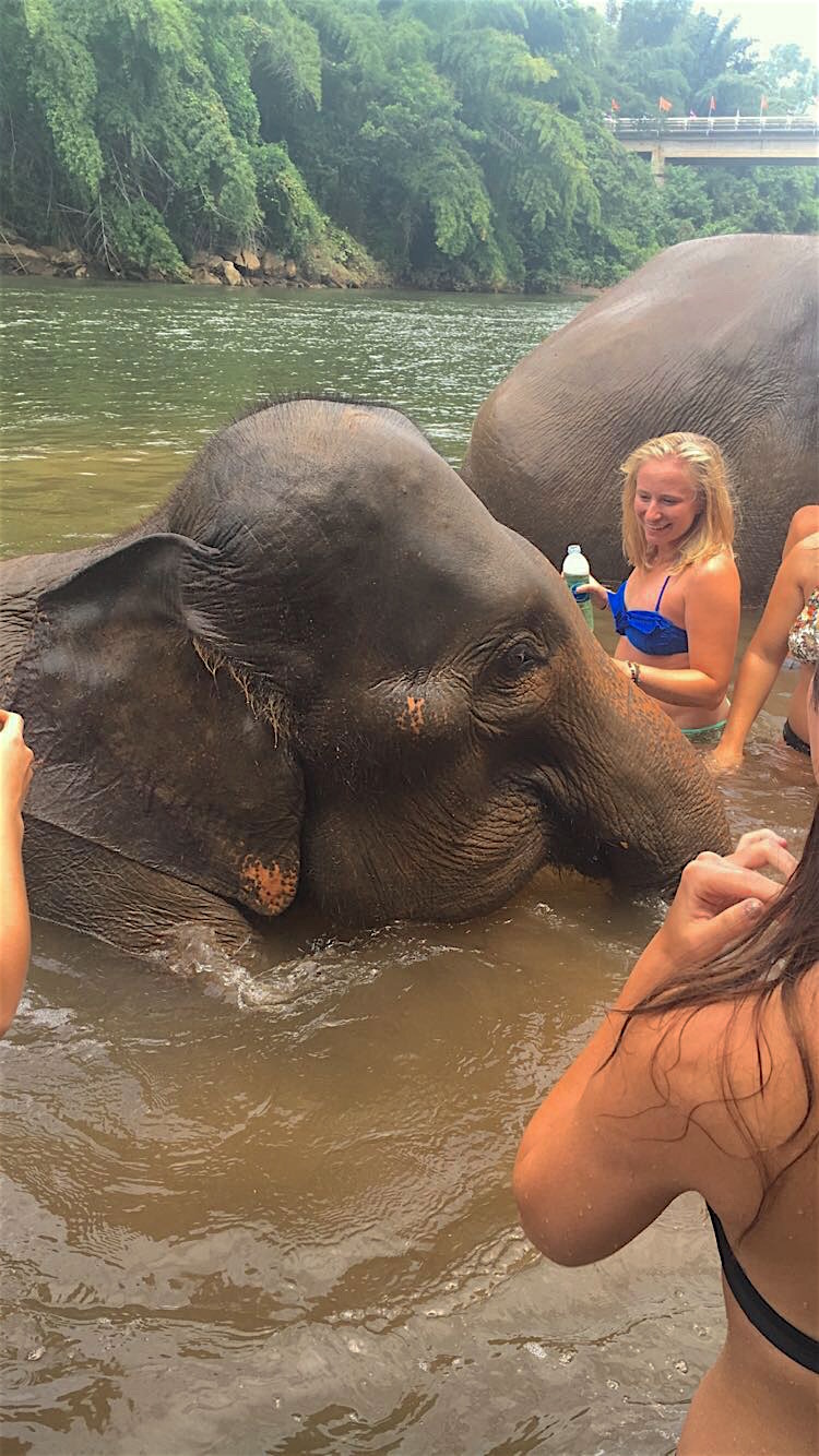 elephant_bangkok_thailand_samigodlove_photo3